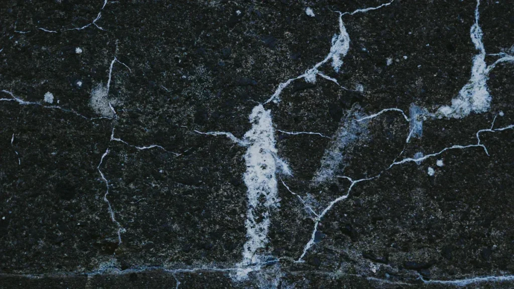 Dark marble slab with contrasting white veins