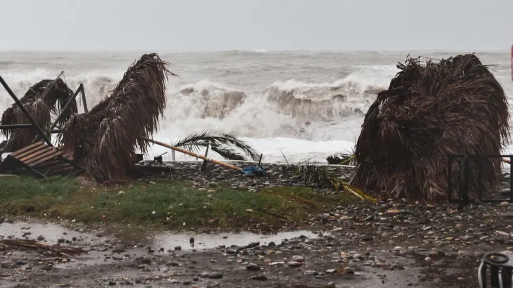 Storm damaged shoreline with rough waves and fallen vegetation