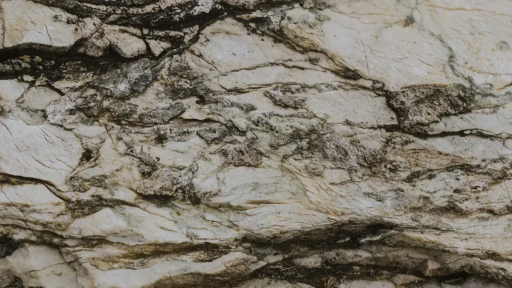 Close-up of a pale stone surface with dark veining