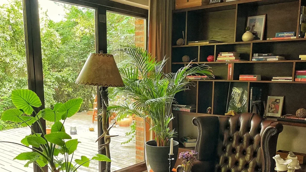 Interior lounge with bookshelves and indoor plants