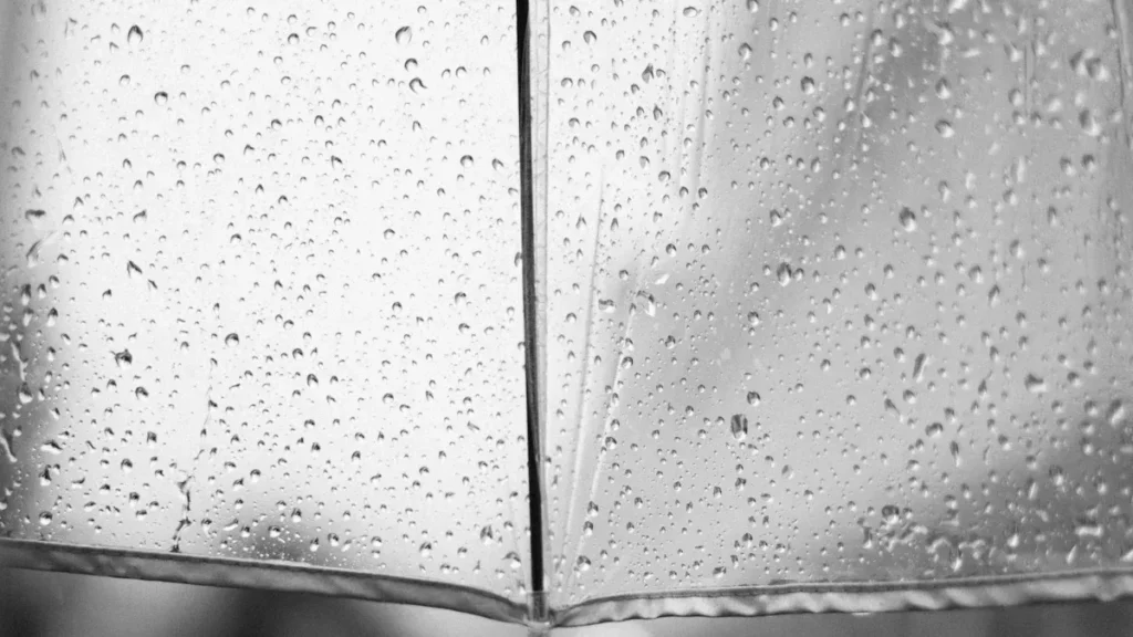 Raindrops on a clear umbrella